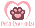 Pets Curiousity