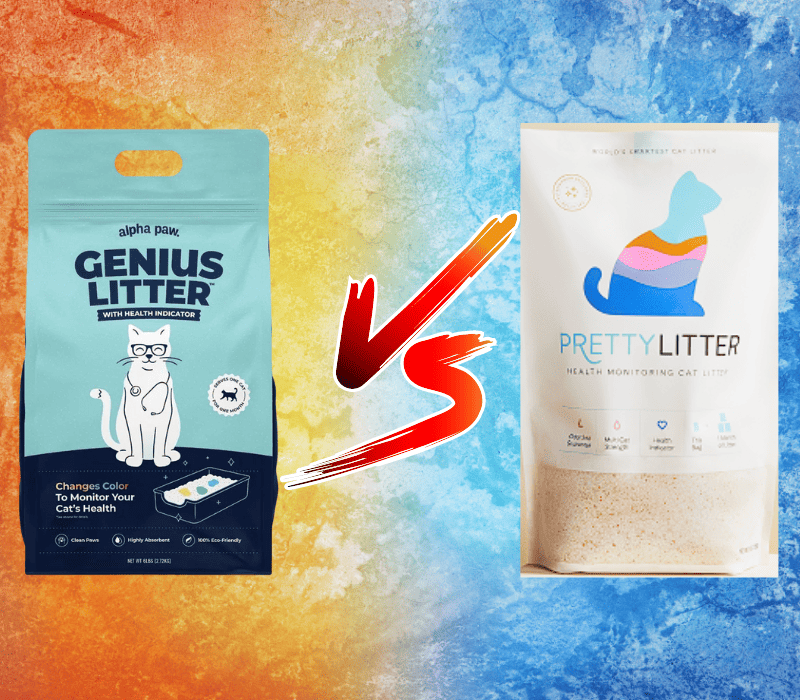 Pretty Litter vs Genius Litter