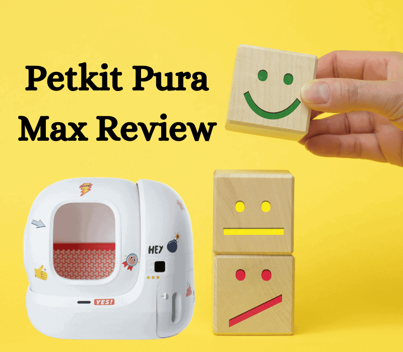 Petkit Pura Max Review