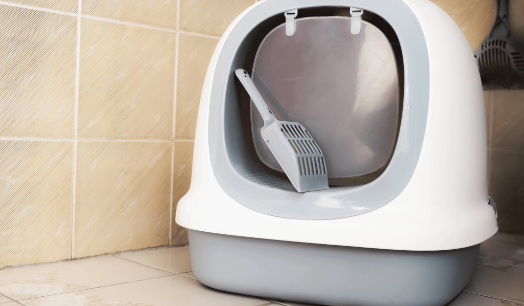 White big litter box with a scoop 