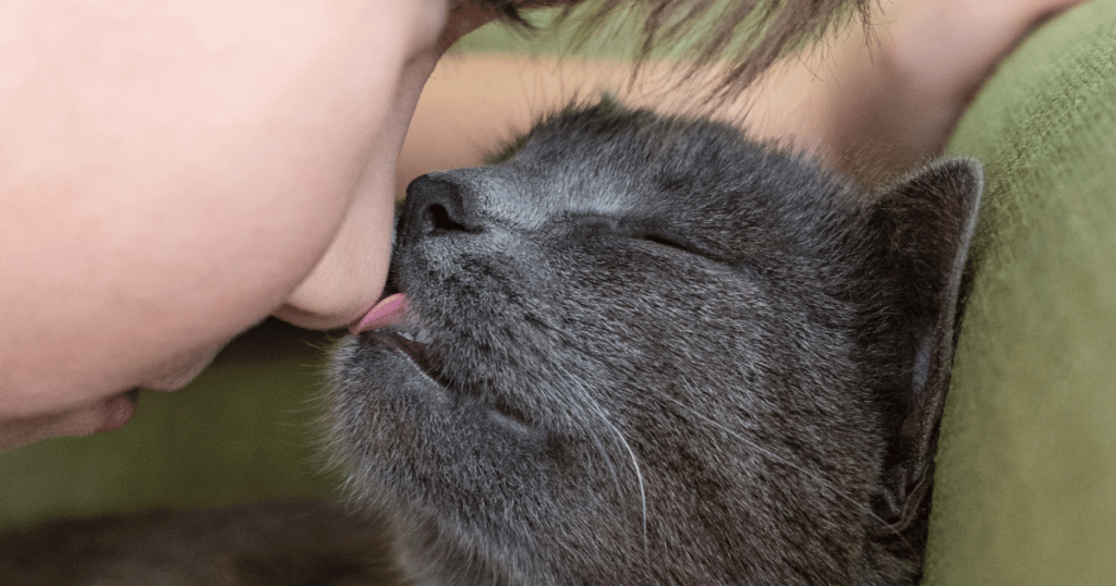Cat licking kid's nose
