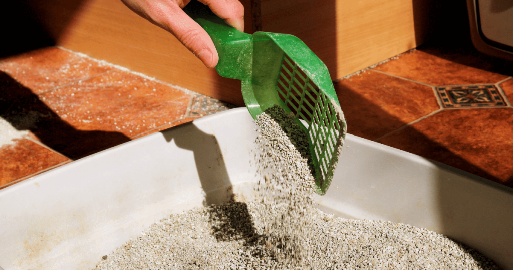 Cleaning litter box